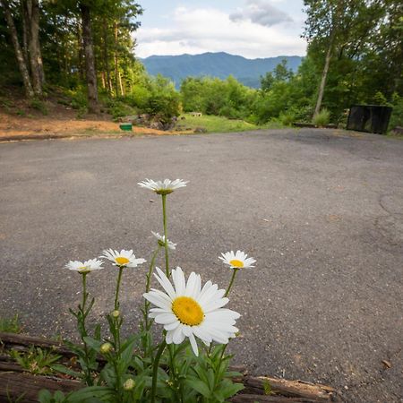 Real Log Cabin With Amazing Views, Hot Tub, Sauna, Games Gatlinburg Dış mekan fotoğraf