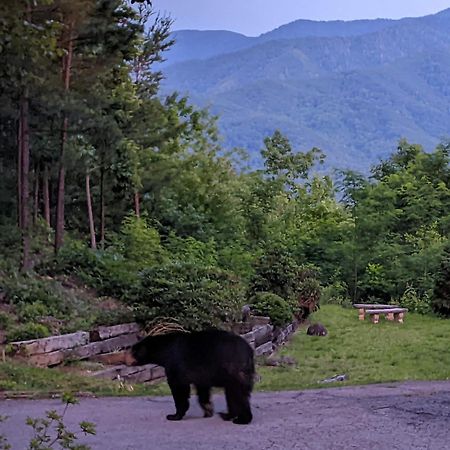 Real Log Cabin With Amazing Views, Hot Tub, Sauna, Games Gatlinburg Dış mekan fotoğraf