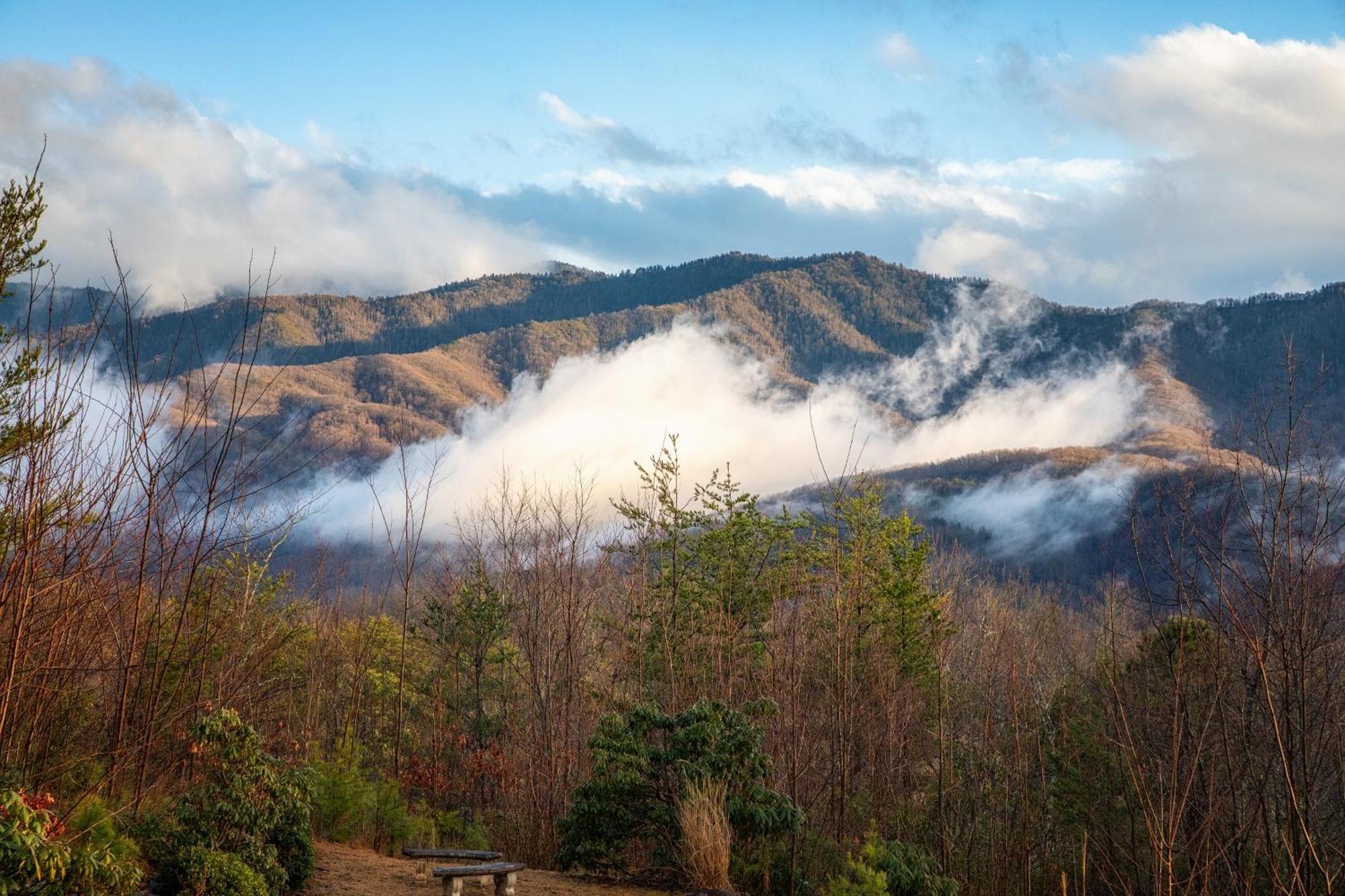 Real Log Cabin With Amazing Views, Hot Tub, Sauna, Games Gatlinburg Dış mekan fotoğraf