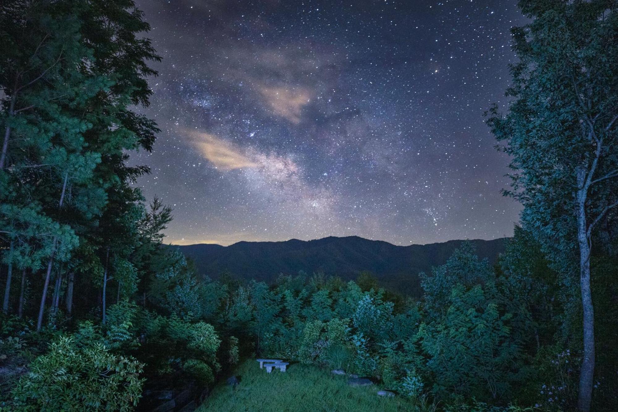 Real Log Cabin With Amazing Views, Hot Tub, Sauna, Games Gatlinburg Dış mekan fotoğraf